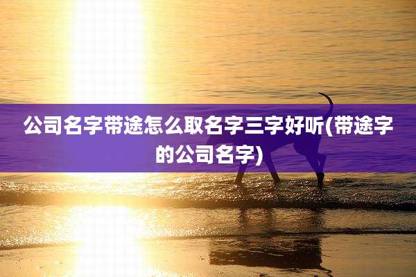 公司名字带途怎么取名字三字好听(带途字的公司名字)