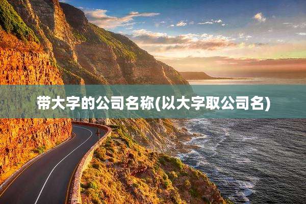 带大字的公司名称(以大字取公司名)