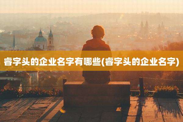 睿字头的企业名字有哪些(睿字头的企业名字)