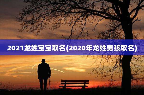 2021龙姓宝宝取名(2020年龙姓男孩取名)
