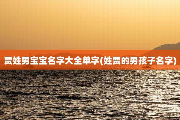 贾姓男宝宝名字大全单字(姓贾的男孩子名字)