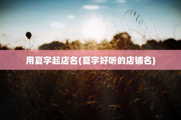 用夏字起店名(夏字好听的店铺名)
