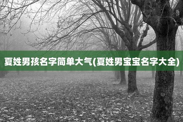 夏姓男孩名字简单大气(夏姓男宝宝名字大全)