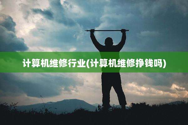 计算机维修行业(计算机维修挣钱吗)