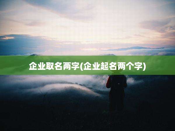 企业取名两字(企业起名两个字)