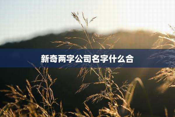 新奇两字公司名字什么合