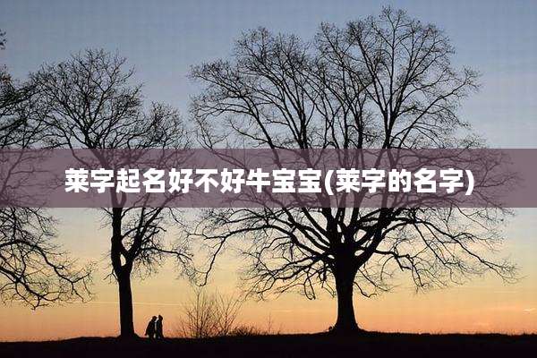 莱字起名好不好牛宝宝(莱字的名字)