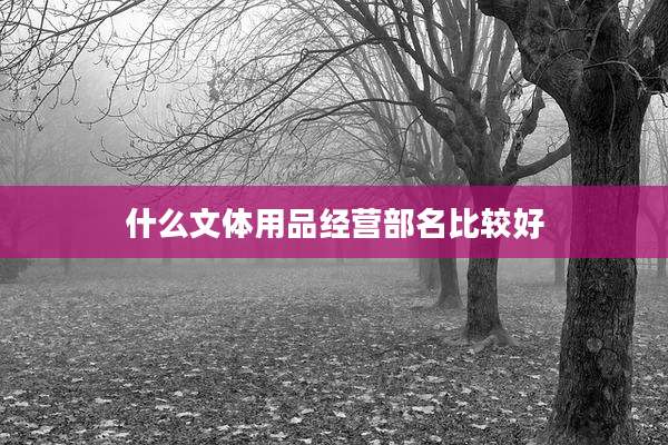 什么文体用品经营部名比较好