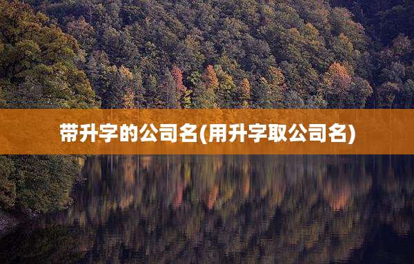 带升字的公司名(用升字取公司名)