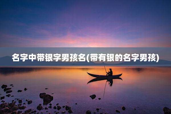 名字中带银字男孩名(带有银的名字男孩)