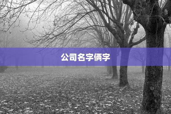 公司名字俩字