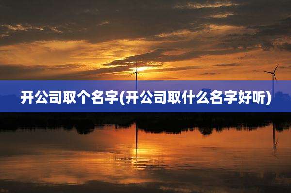开公司取个名字(开公司取什么名字好听)