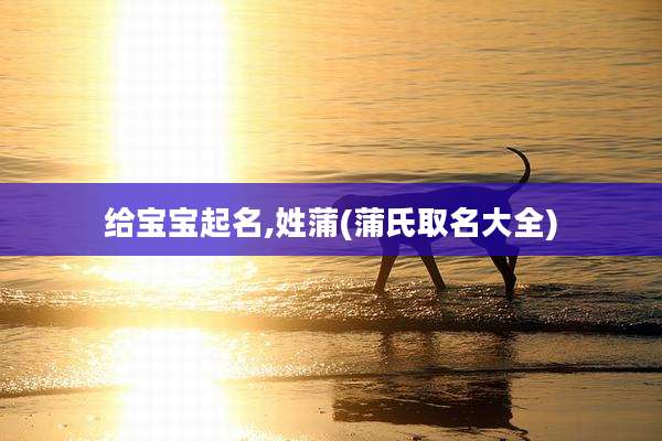 给宝宝起名,姓蒲(蒲氏取名大全)