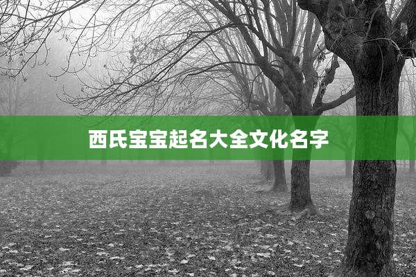 西氏宝宝起名大全文化名字