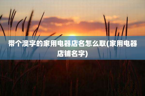 带个澳字的家用电器店名怎么取(家用电器店铺名字)