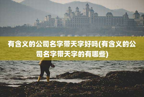 有含义的公司名字带天字好吗(有含义的公司名字带天字的有哪些)