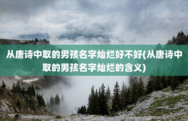 从唐诗中取的男孩名字灿烂好不好(从唐诗中取的男孩名字灿烂的含义)