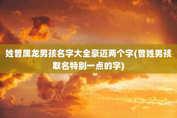姓曾属龙男孩名字大全豪迈两个字(曾姓男孩取名特别一点的字)