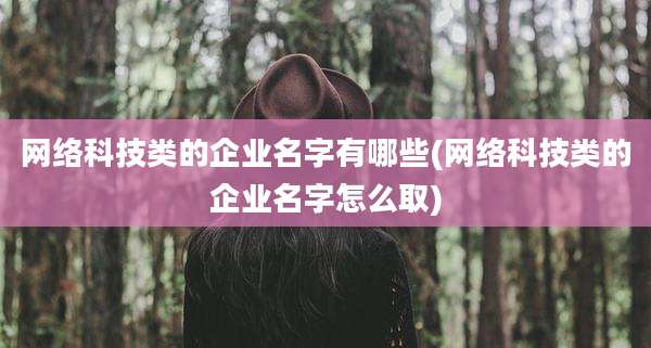 网络科技类的企业名字有哪些(网络科技类的企业名字怎么取)
