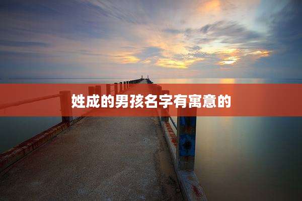 姓成的男孩名字有寓意的