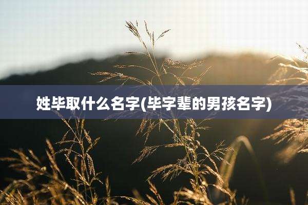 姓毕取什么名字(毕字辈的男孩名字)
