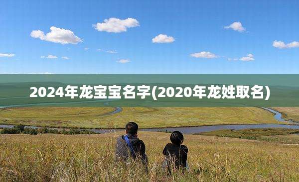 2024年龙宝宝名字(2020年龙姓取名)