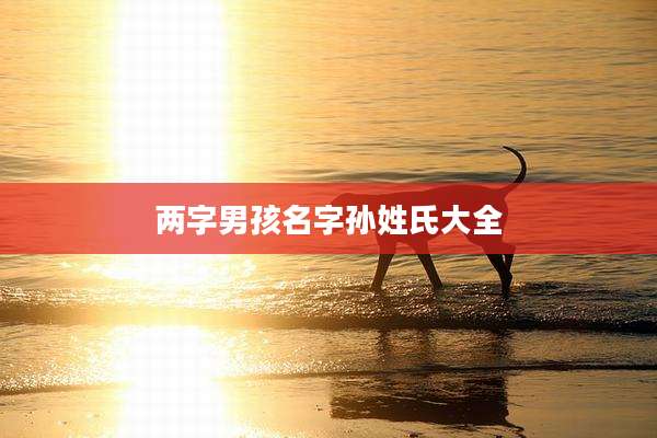 两字男孩名字孙姓氏大全