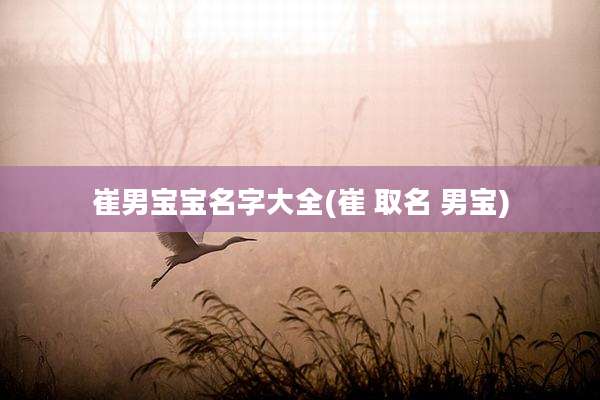 崔男宝宝名字大全(崔 取名 男宝)