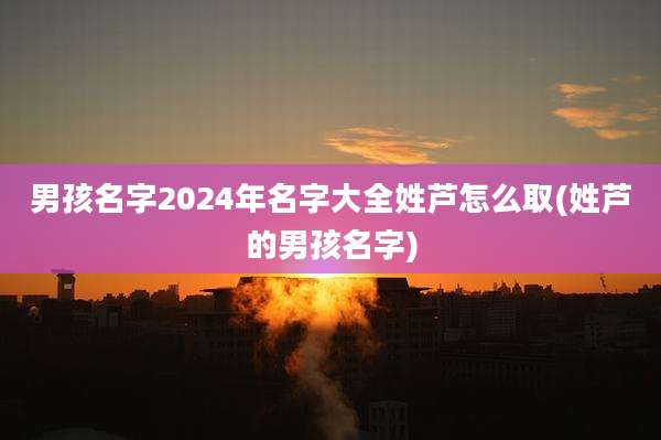 男孩名字2024年名字大全姓芦怎么取(姓芦的男孩名字)