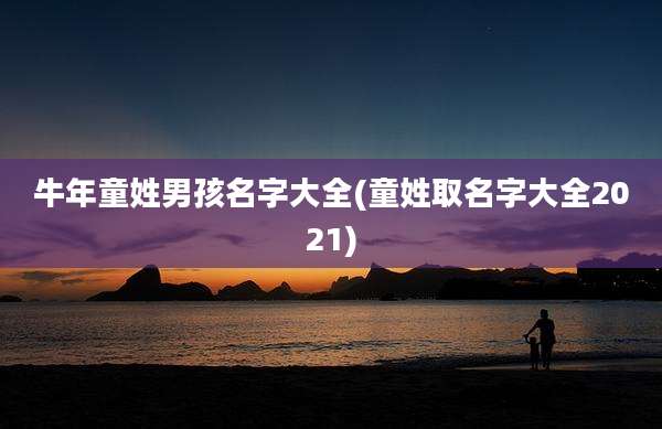 牛年童姓男孩名字大全(童姓取名字大全2021)