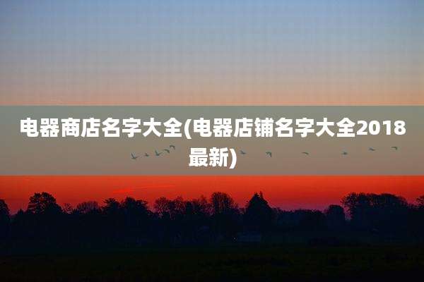 电器商店名字大全(电器店铺名字大全2018最新)