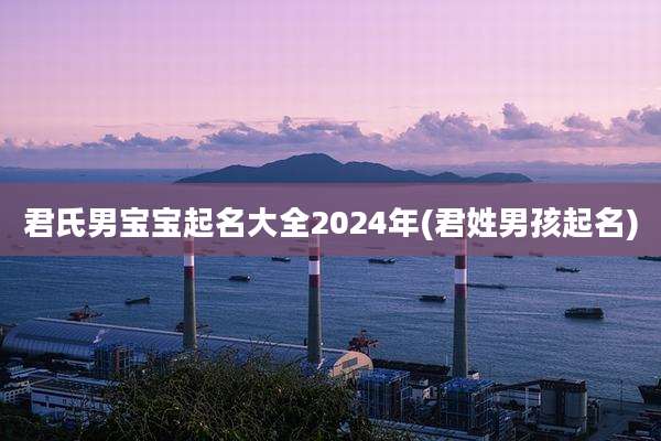 君氏男宝宝起名大全2024年(君姓男孩起名)