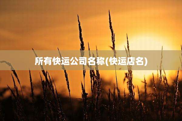 所有快运公司名称(快运店名)