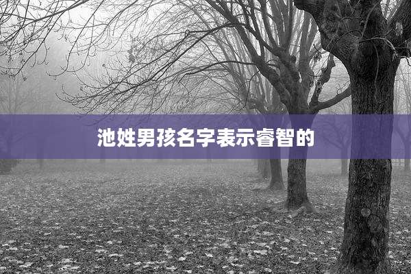 池姓男孩名字表示睿智的
