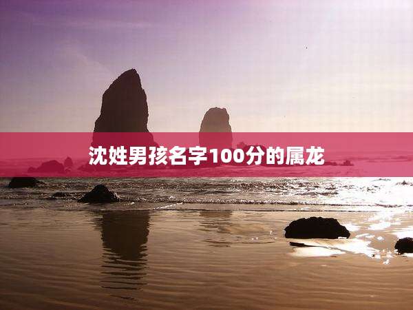 沈姓男孩名字100分的属龙
