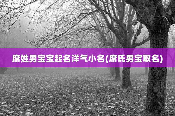席姓男宝宝起名洋气小名(席氐男宝取名)