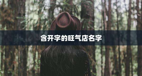含开字的旺气店名字