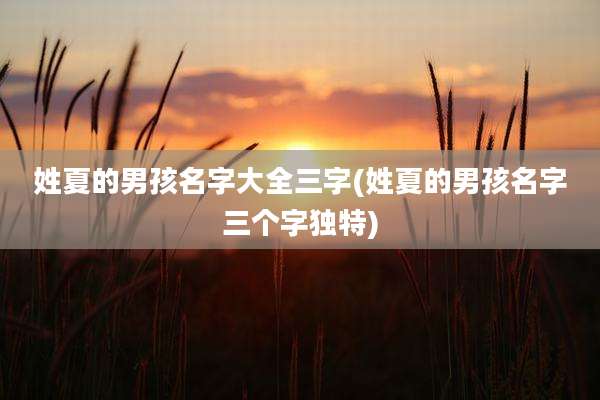姓夏的男孩名字大全三字(姓夏的男孩名字三个字独特)