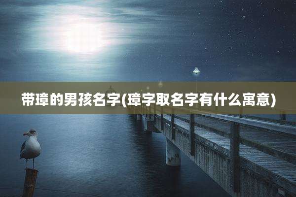 带璋的男孩名字(璋字取名字有什么寓意)