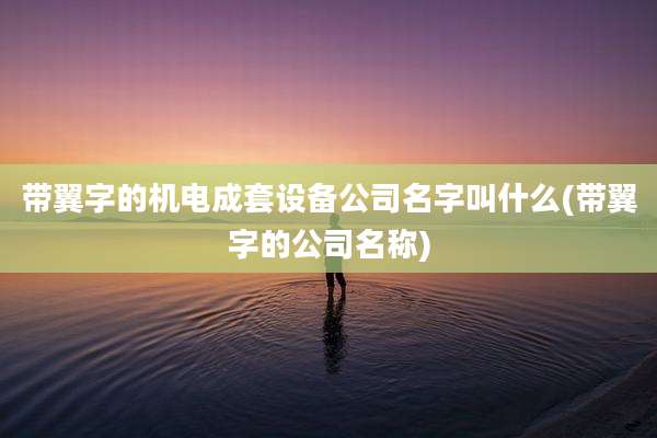 带翼字的机电成套设备公司名字叫什么(带翼字的公司名称)