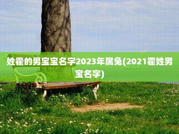 姓霍的男宝宝名字2023年属兔(2021霍姓男宝名字)