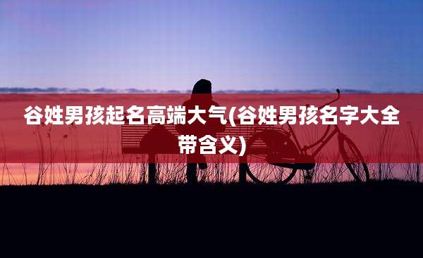 谷姓男孩起名高端大气(谷姓男孩名字大全带含义)