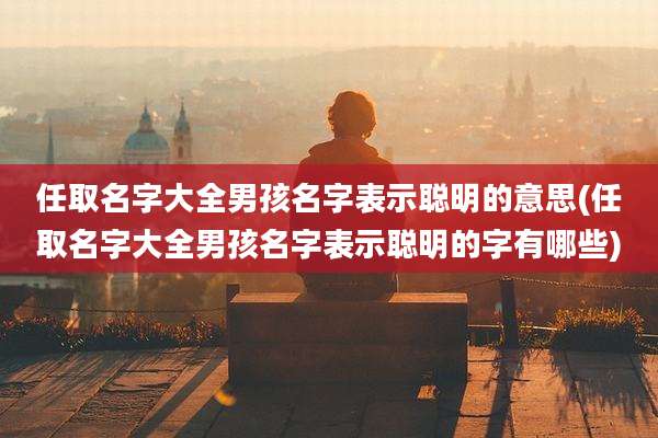 任取名字大全男孩名字表示聪明的意思(任取名字大全男孩名字表示聪明的字有哪些)