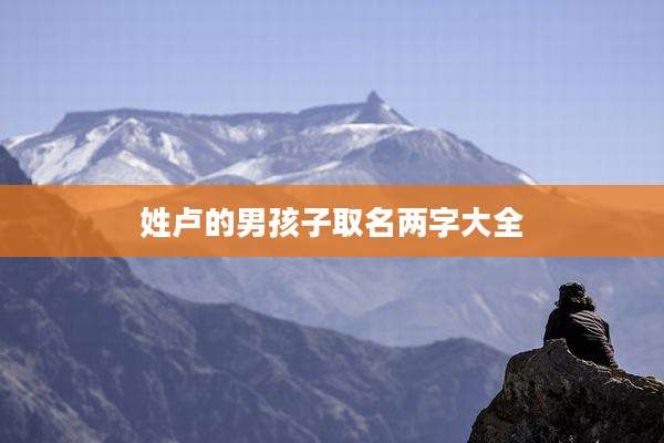 姓卢的男孩子取名两字大全