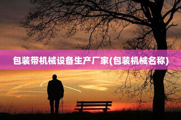 包装带机械设备生产厂家(包装机械名称)
