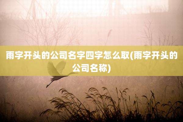 雨字开头的公司名字四字怎么取(雨字开头的公司名称)