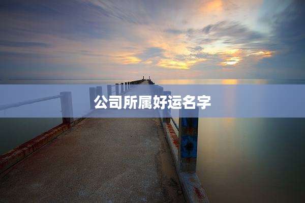 公司所属好运名字