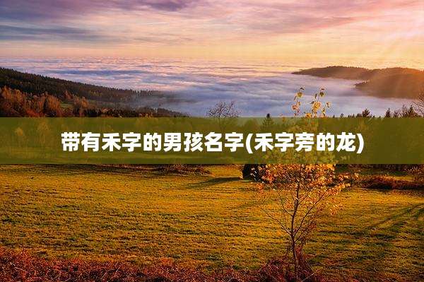 带有禾字的男孩名字(禾字旁的龙)