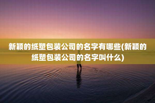 新颖的纸塑包装公司的名字有哪些(新颖的纸塑包装公司的名字叫什么)