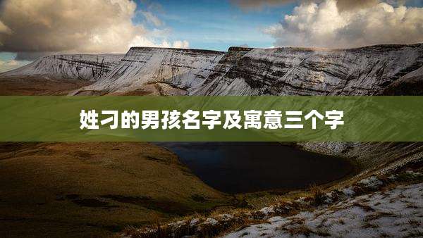 姓刁的男孩名字及寓意三个字